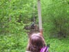 Der Dachs